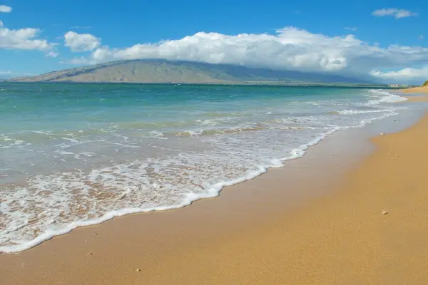 Scenic Sandy Beach & Ocean View