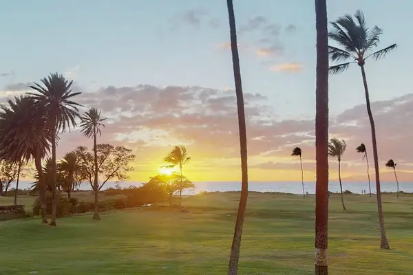 Oceanfront Lawn Sunset View