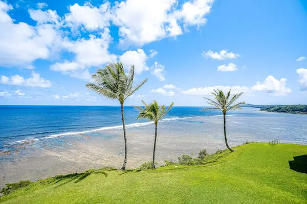 Blue Pacific Ocean views - waves crashing against the sandy beaches and palm trees blowing in the crisp ocean air.