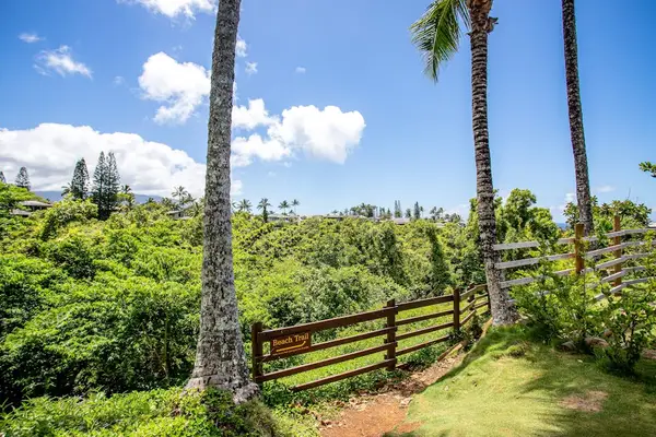 Beach Trail pathway down to from right outside your door.  Enjoy sunbathing and swimming on the secluded stretch of white sand at the bottom of the path.
