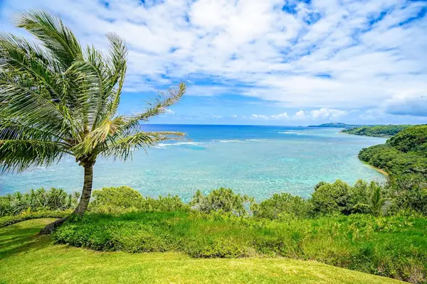 Take in breathtaking oceanfront cliff views framed by swaying palm trees.