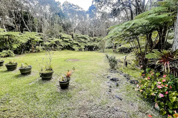Escape to a private tropical backyard oasis surrounded by lush Hawaiian landscaping, swaying palms, and the peaceful beauty of paradise.