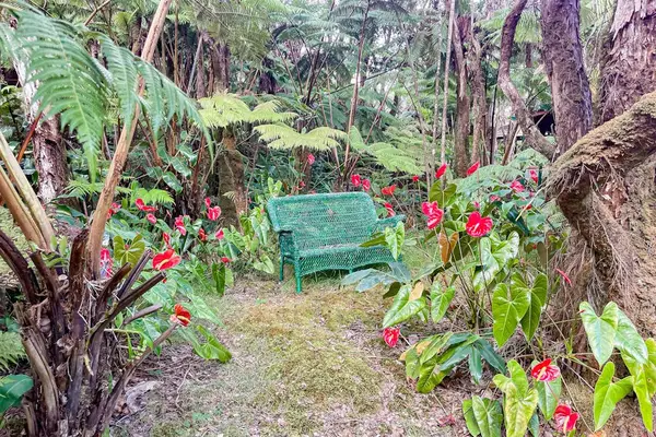 Escape to a private tropical backyard oasis surrounded by lush Hawaiian landscaping, swaying palms, and the peaceful beauty of paradise.
