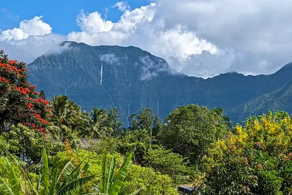 Relax on the private lanai and take in the peaceful views of lush tropical foliage and the surrounding mountains. It's the perfect spot to enjoy your morning coffee, unwind with a good book, or soak in Hawaii's natural beauty.