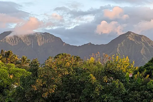Enjoy lush tropical views framed by the island's beautiful mountains.