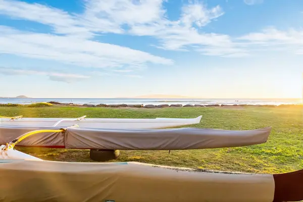 Experience Maui's vibrant beach atmosphere