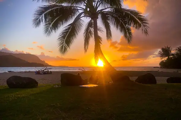 Palm-framed sunset creates a colorful evening backdrop across the grounds