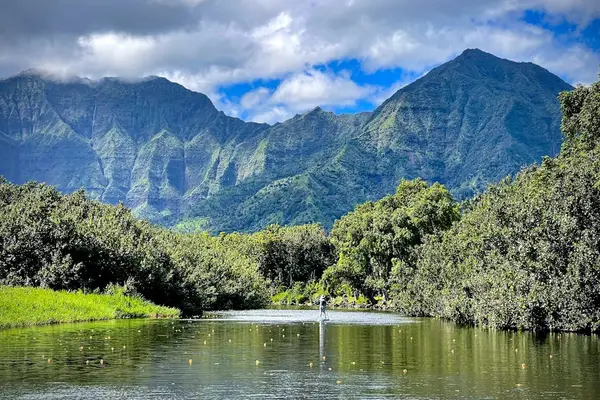 Serene mountain landscape reflects beautifully across a calm tropical pond