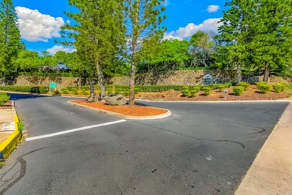 Scenic Tree Lined Entrance To Paradise