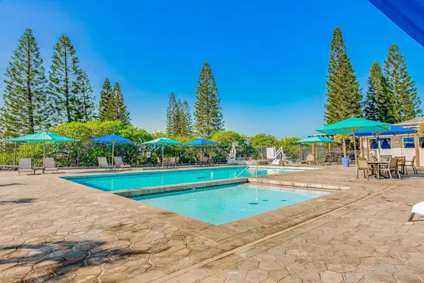 Sparkling Resort Pool Under Sunny Skies