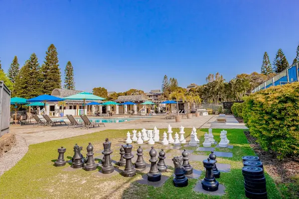 Life Size Chess For Family Game Nights
