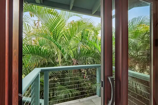 A natural masterpiece framed. Elegant, dark-trimmed glass doors perfectly capture the vibrant palm fronds and sun-dappled deck just beyond the threshold. 🌿🚪