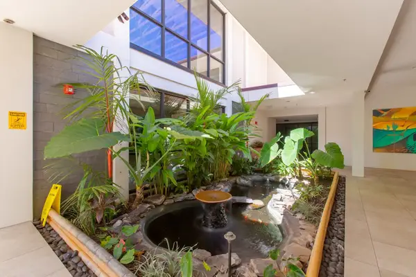 Tranquil tropical garden with a peaceful water feature