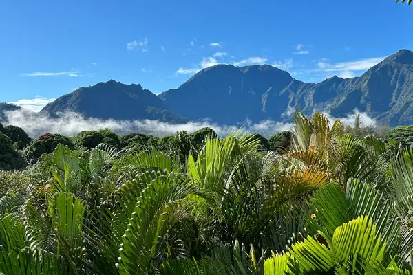 Lush Mountain Landscape