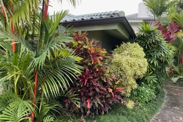 Lush Tropical Garden Entrance