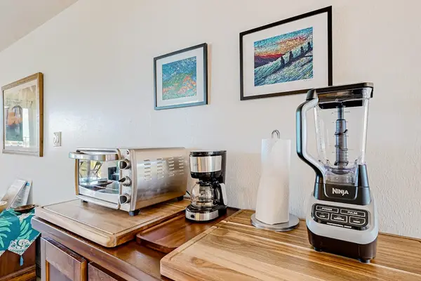 Kitchen area with toaster oven and Ninja Professional Blender