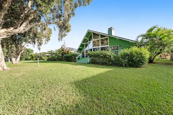 Sunny lawn showcases green home framed by mature island trees