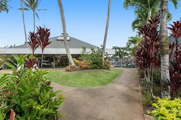 Palm-Lined Courtyard Pathway