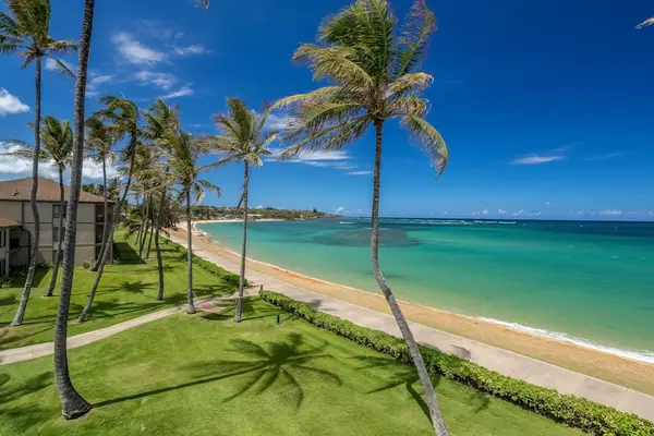 Turquoise water of the Pacific Ocean crashing on to the white sandy beaches while the palm trees sway in the breeze.