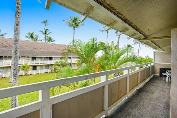 Take in the Tropical Views
