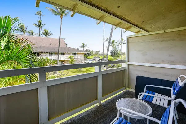 Your Front-Row Seat to Paradise