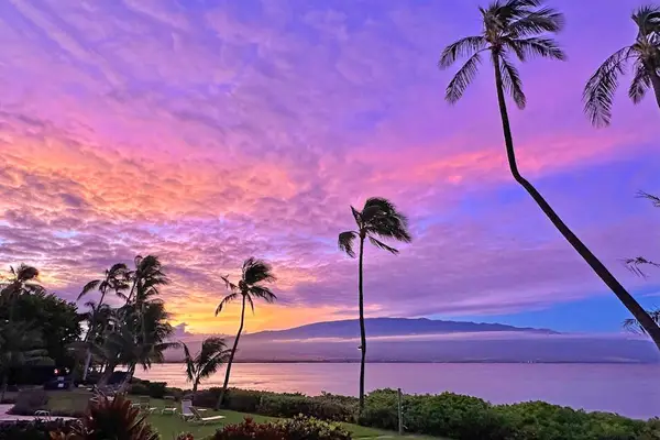 Amazing sunsets against the backdrop of swaying palm trees.