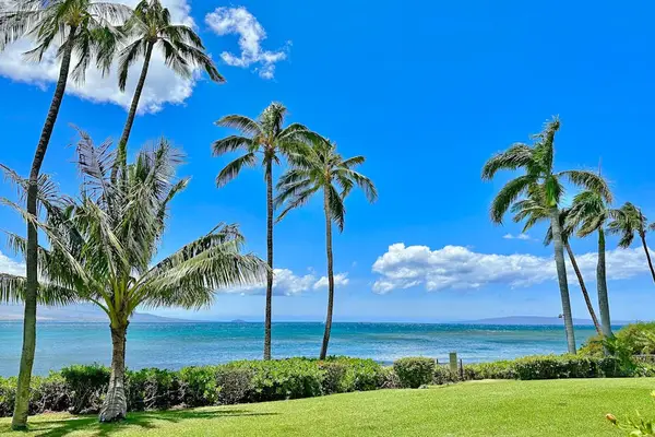 Lush grassy lawns surrounded by beautiful tropical trees create a peaceful island setting.