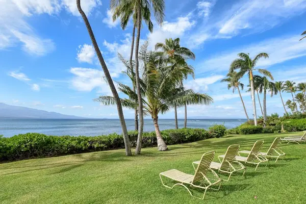 Lush grassy lawns surrounded by beautiful tropical trees create a peaceful island setting.