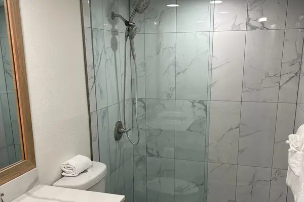 Glass-enclosed walk-in shower