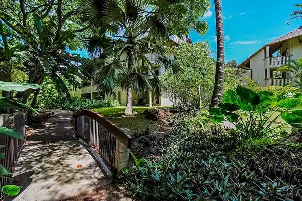 Peaceful courtyard with shaded walking paths