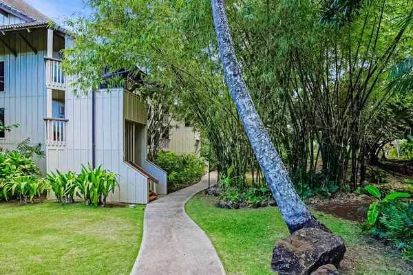 Scenic courtyard path lined with palm trees