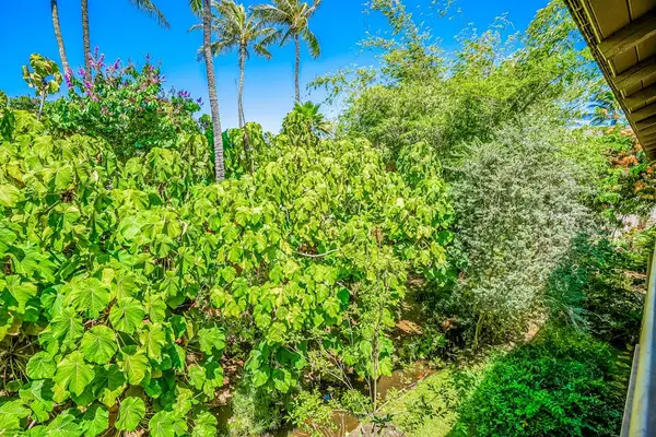 Private lanai overlooking tropical foliage
