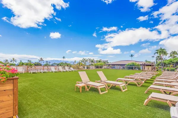 Sun Loungers On Lush Green Lawn