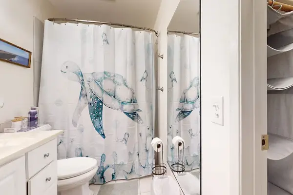 Bathroom with a shower and vanity
