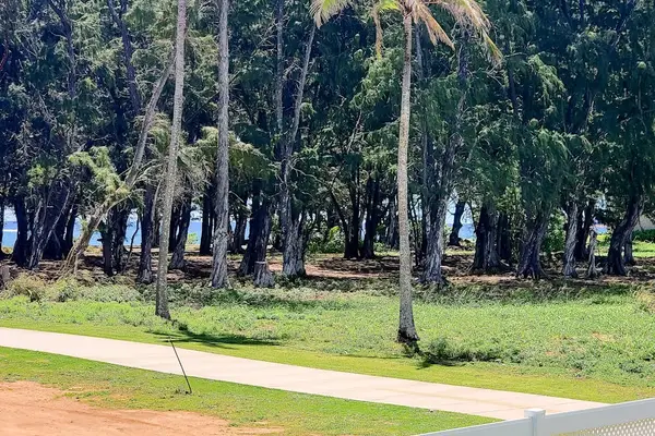 Palm Lined Grounds For Island Strolls