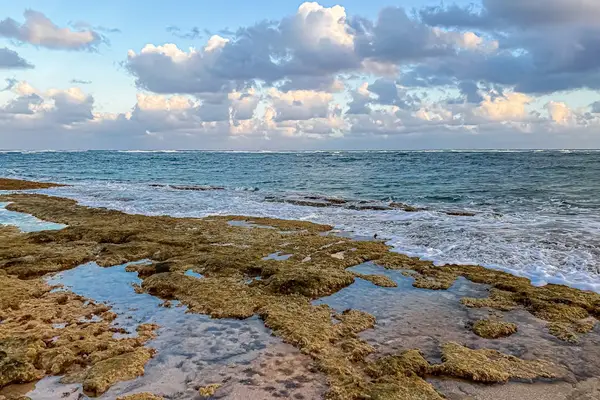Oceanfront Tide Pools To Explore