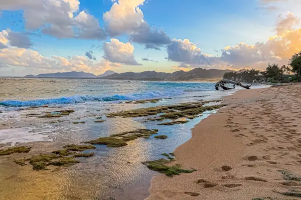 Discover Maui's Rugged Shoreline