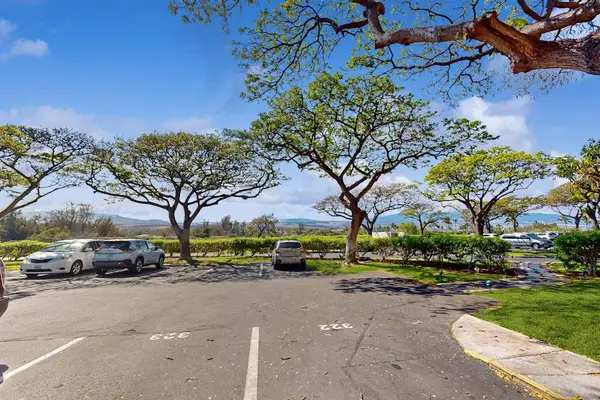 On-Site Guest Parking Lot Surrounded by Shade Trees & Mountain Backdrop