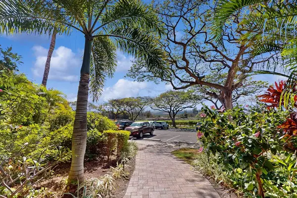 Paved Garden Pathway Framed by Palms & Tropical Flora Leading to Parking