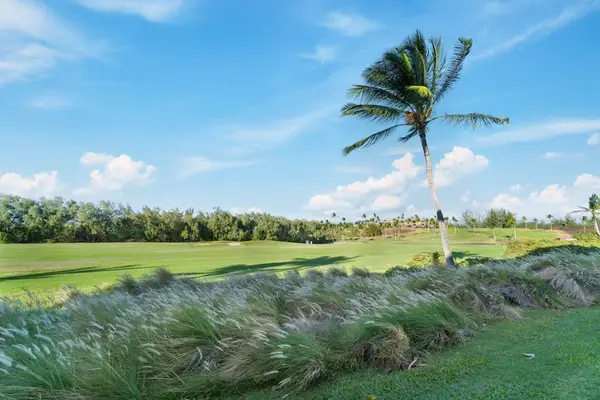 Sweeping Fairway Island Views