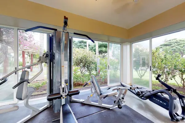 Modern Gym With Windows