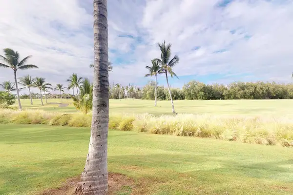 Peaceful Golf Course Landscape