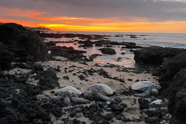 Spectacular Maui Sunset Shoreline