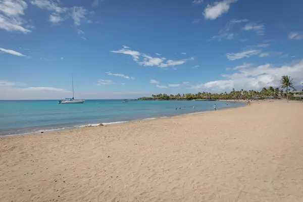 Golden Sandy Beach Escape