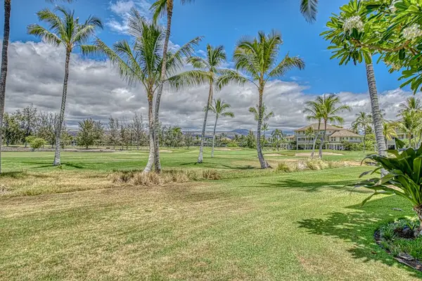 Palm Framed Island Grounds