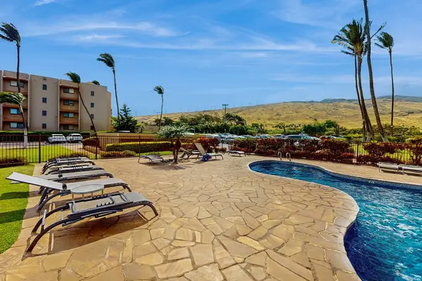 Resort Pool Surrounded By Tropical Palms