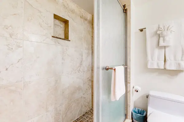 Walk In Shower For Ultimate Relaxation