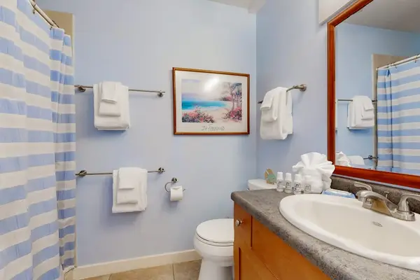Fresh Bathroom With Granite Vanity