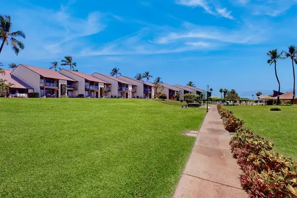 Lush Lawn Leading To The Beach