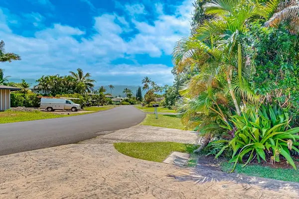 Peaceful Driveway Framed By Lush Palms